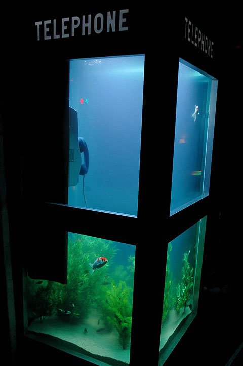 acquaphone