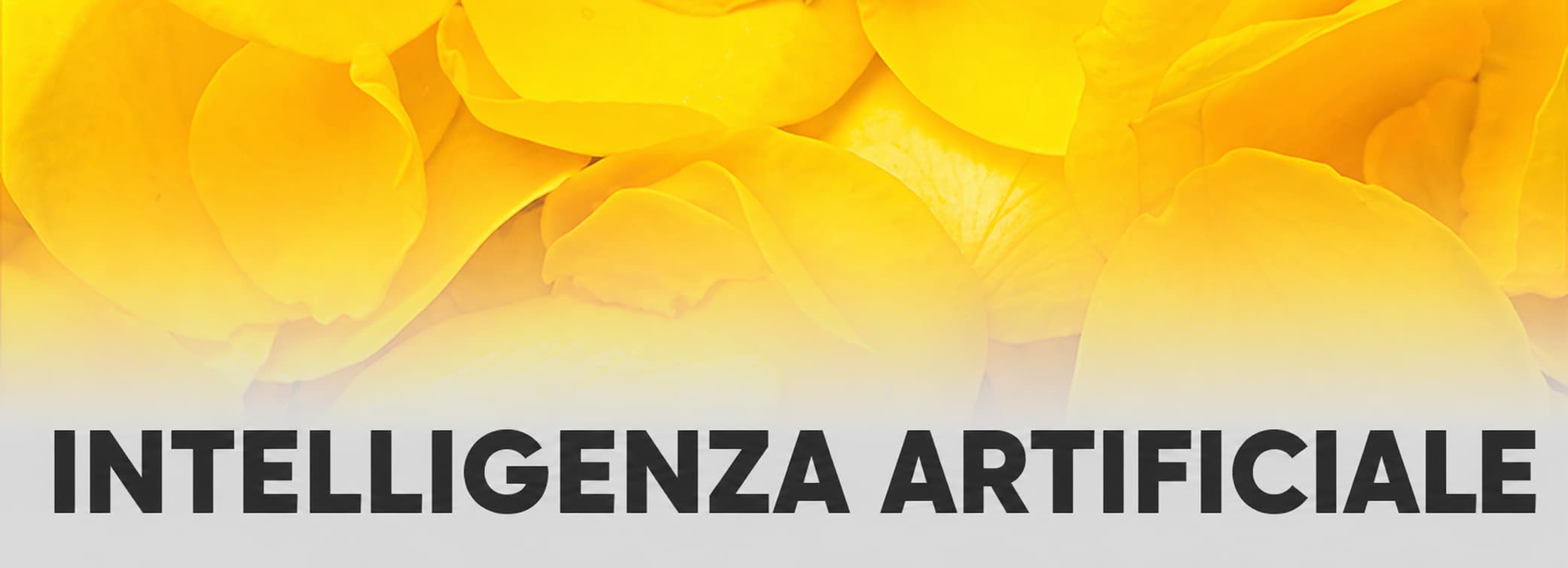 Consulenza e formazione Intelligenza Artificiale AI Rho